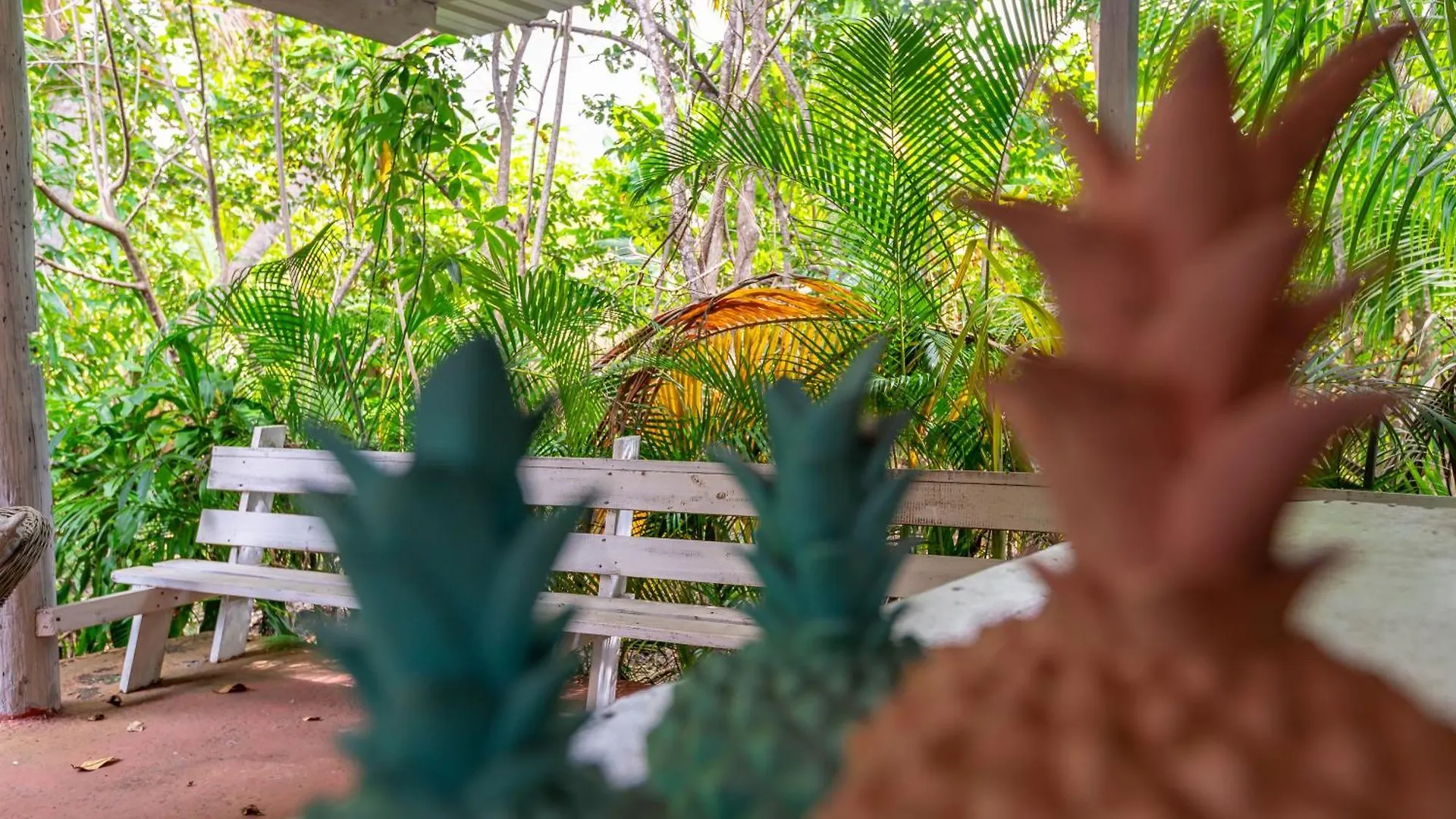 3 Bedroom Retreat In Rincon Casa Pina Suave, Rustic With Yard & Patio